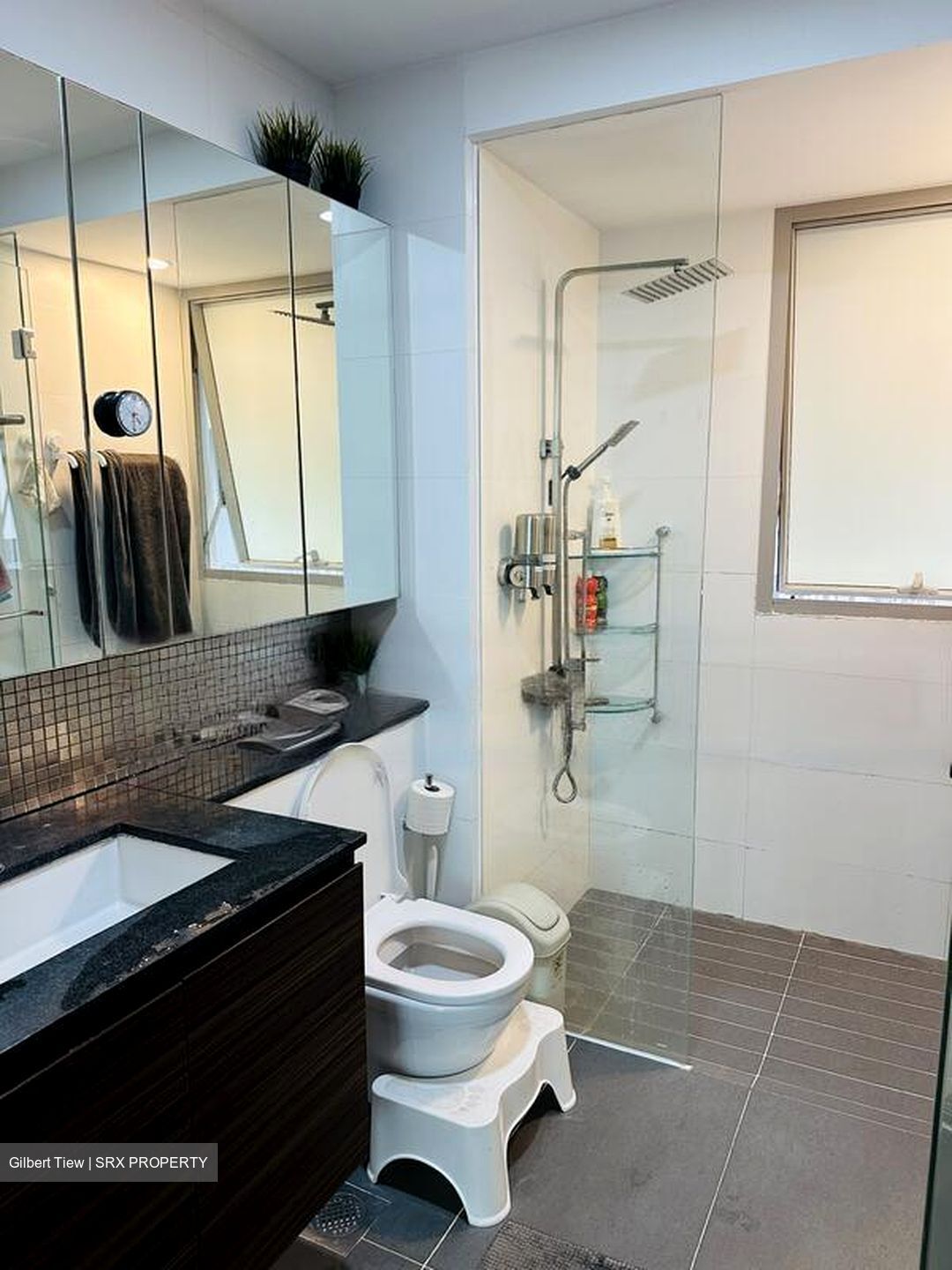 The Minton (D19), Condominium #516735901